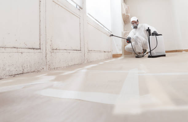 24/7 Emergency Black Mold Removal experts in Windsor, NC