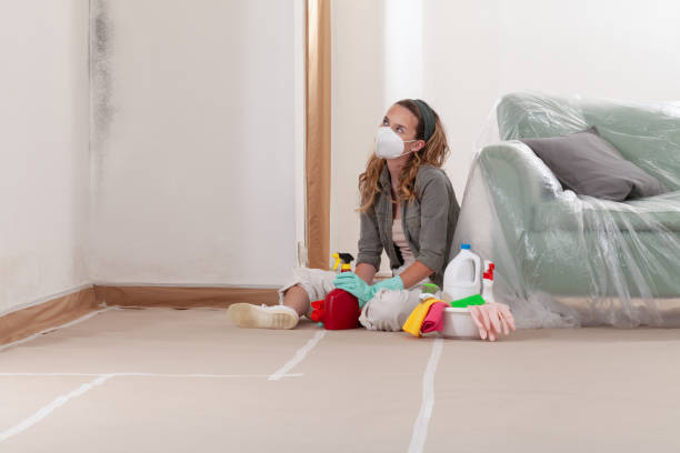 Reliable Mold Cleanup contractor in Windsor, NC by Cheap Mold Removal